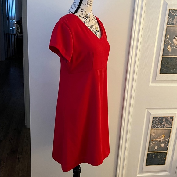 Chic Scarlet Mini Dress - Picture 6 of 13